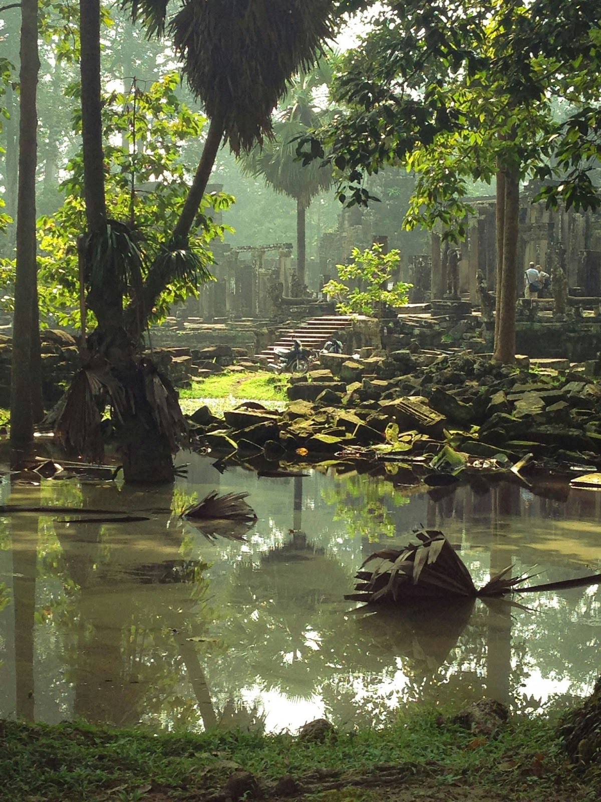Wetlands