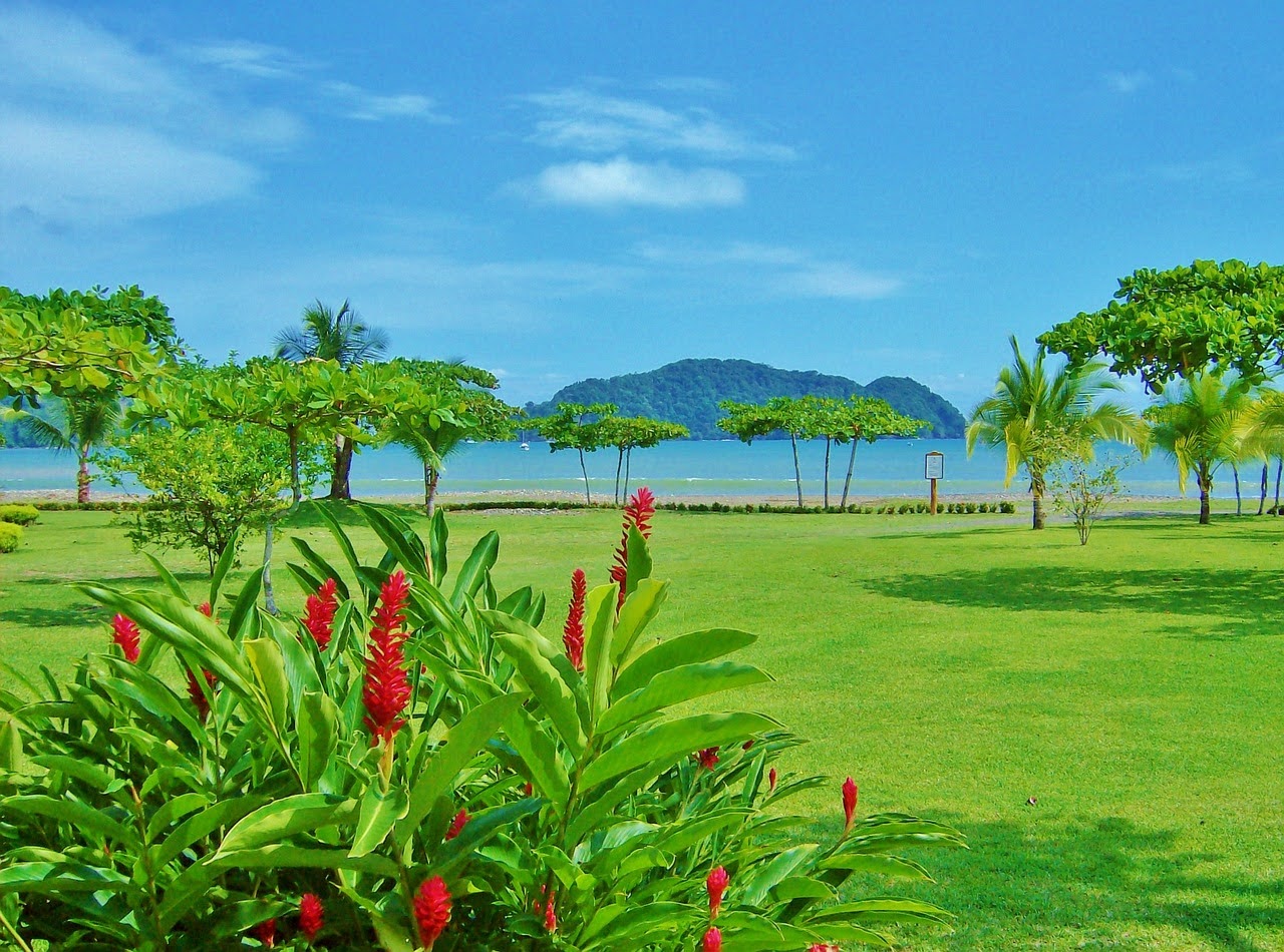 Flowers at the forefront of a vista